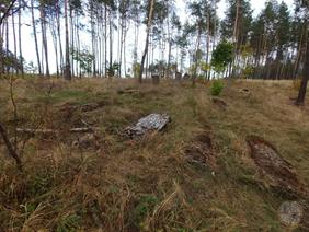 Jewish cemetery in Old Rafalivka, 2019