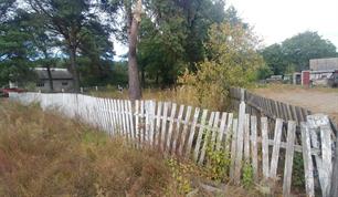 Jewish cemetery in New Rafalivka, 2019