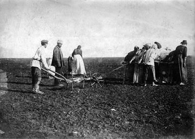 Коллектив вдов за вспашкой своего участка. Хлебодаровка, 1922 г.