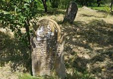 Боржава, еврейское кладбище