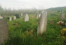 Дюла, еврейское кладбище