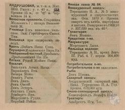 Андрушовка в справочнике "Весь Юго-Западный край", 1913