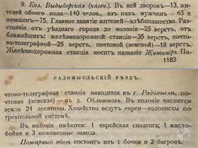 Выдыборская колония в Списке населенных мест Киевской губернии, 1900